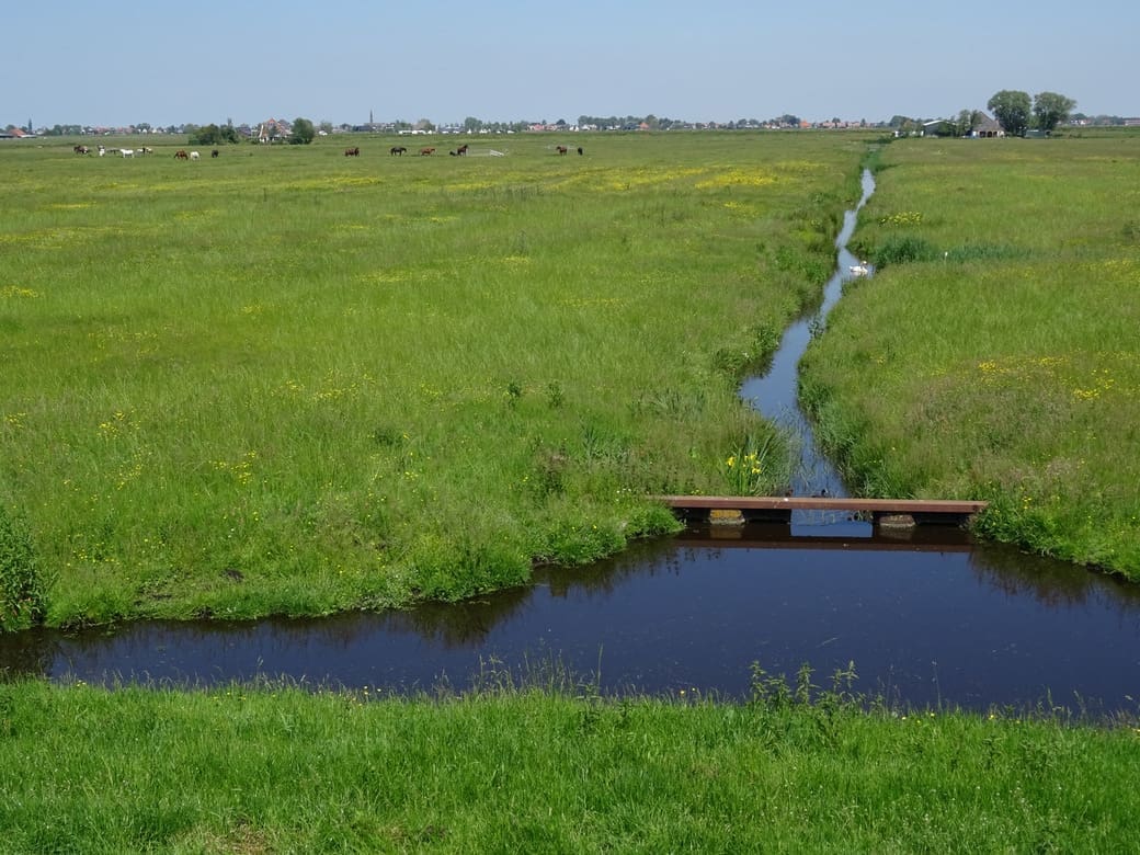 Michiel Wallis de Vries